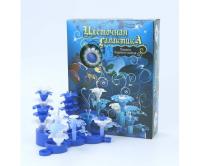 pict_24a61091-01c4-48e9-8d21-a7da1a7ec015