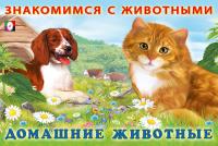 pict_364a1240-c558-4ee3-91ff-8a069bf21a71