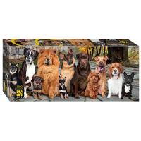 pict_fb59974f-286c-4821-bed9-24d2be3c4a99