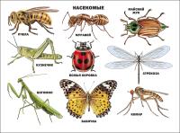 pict_6e4d9611-668d-4ae3-97bc-62c6a71b16ec