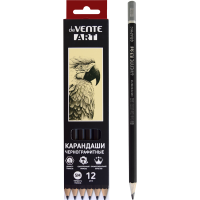 pict_1c95696d-25cc-44da-991f-2eba456a1b48