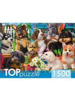 pict_9528a1e9-0ad8-4c8f-bd33-8c5aa1e99e67