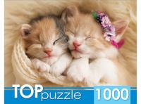 pict_8e7f79f7-59d1-48a3-8acc-125cf1f3955c
