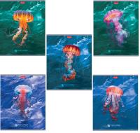 pict_79a47bd5-9d8a-43b2-baa6-9de8b8f85350