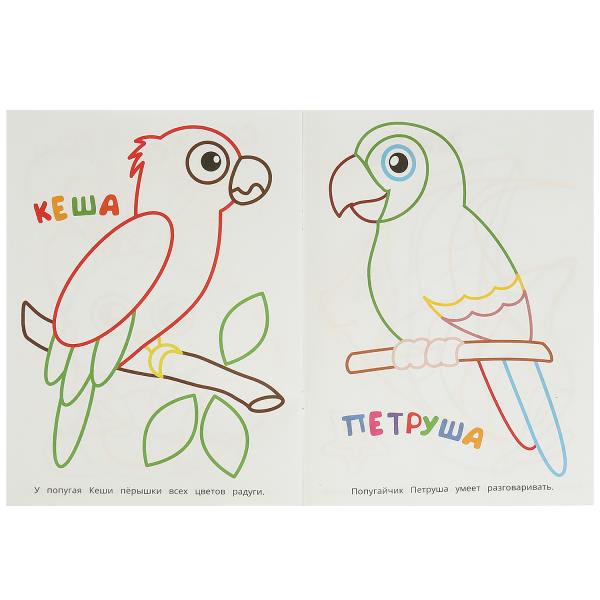 pict_4955a4df-b0a2-4810-ae17-7d1560a5bfd1