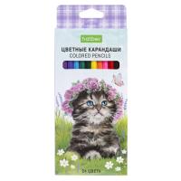 pict_b35e20ef-2513-4870-ae0a-73975a8091bb