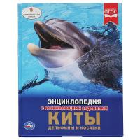 pict_b8e14d10-51c8-4cde-a157-f04c49e9faeb