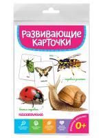 pict_ca70283a-7702-48e8-b58a-17f56398e774