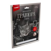 pict_886d96b6-0419-4bb0-b484-db3647b67068