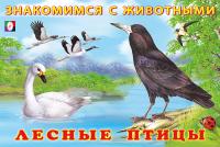 pict_bbd6562a-a9ac-4993-b56d-cf710f5d8d9a