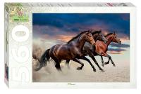 pict_ee1a9697-1e4c-4ab8-9767-9556a07d5a89