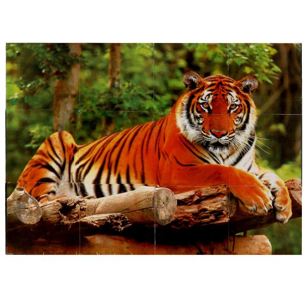 pict_3deb7ad4-941f-4e76-8a10-d11d379f557d