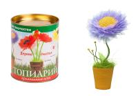 pict_70ffac77-ae98-4c32-abb0-8ce4715bb568