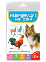 pict_e1ed0403-3dd9-40ff-8425-6fe961f63e7a