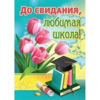 pict_2cc67af1-f8e4-4089-8c6f-8b3cbf812974