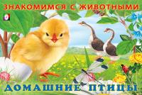 pict_9b186767-cf9a-447b-89f0-d75a7a28942e