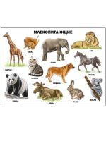 pict_610e7792-4a27-4b7f-907b-75b3f8758912