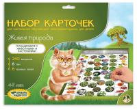 pict_d07867be-2cce-491d-8453-98f42fc0171f