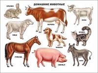 pict_1841c7d6-dc61-4969-a897-dca3020b5e75