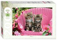 pict_82b7fa18-00df-4297-85ed-4da90b9d2ad7