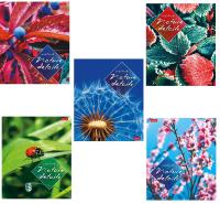 pict_8908bc13-664f-4a02-9f94-1c4a1280a355