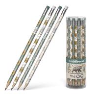 pict_b12e3dfe-1ca5-40dd-8306-5a56ede07474