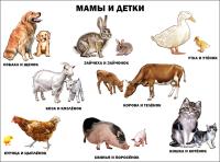 pict_4538d7cc-5d5b-407c-b22e-cfbfb9c7e64a