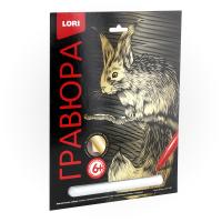 pict_fbcffc09-d620-425b-a84f-0fe2f1fd2ae5