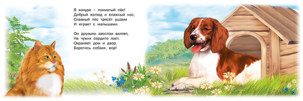 pict_2b9ec6df-2133-4726-b992-c38e9c4c602c