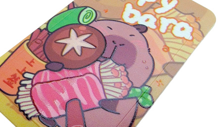 pict_3e9f3f1a-dc05-4ea9-84cd-cade76601228