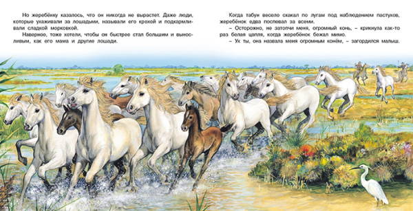 pict_d1113a91-0cb9-44ab-906d-d796eb1f4f89