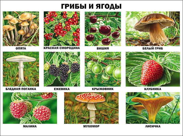 pict_844ef44b-2dbe-4c12-aef3-db3d65424796