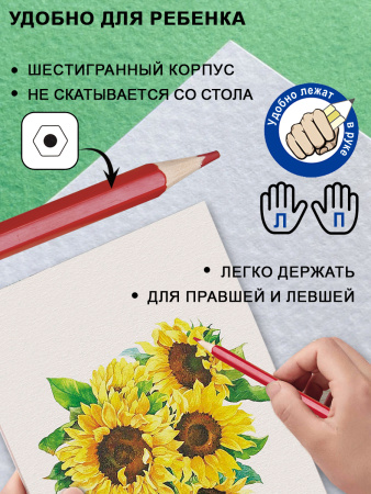 PCP-018 1