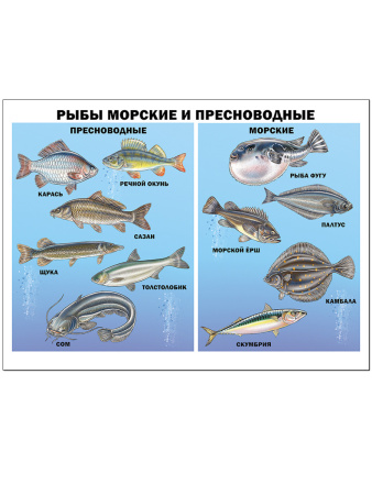 pict_3c7ac053-84c5-4fe4-9f99-e1b0866292d1