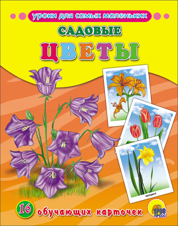 pict_262d2b61-44ae-41ef-bc6b-4ef81693c33f