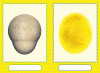 ltvyh8pt9rvvk7xm53971snc5nq0w35v