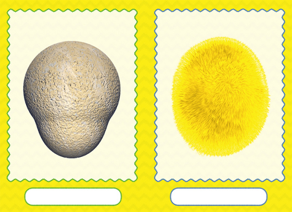 ltvyh8pt9rvvk7xm53971snc5nq0w35v