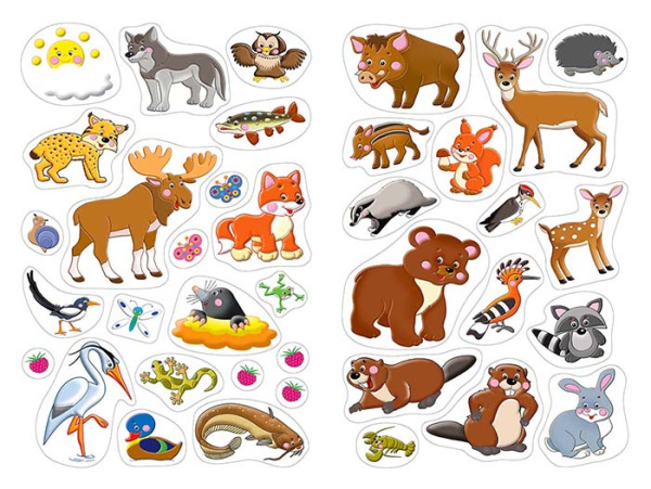 pict_f562aa0e-bc31-4b01-b945-f5044eee9760