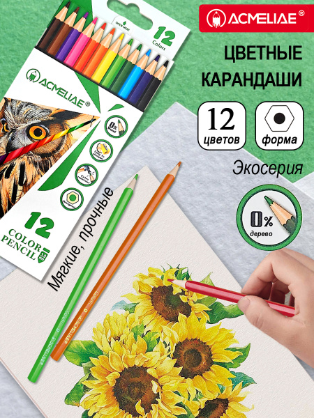 pict_5d6e6681-5b06-43b0-890a-ee606fb4a399