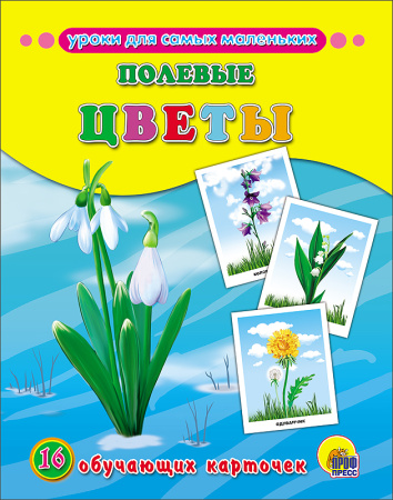 pict_03630d03-da4c-43b6-ade3-3f146b92c637