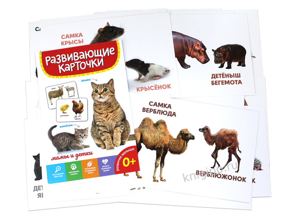 pict_7eb9d6ce-fe20-4dac-8913-5456620f297b