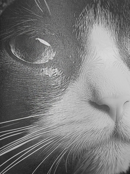 7646ec93ecd99b829cf72caaec301ddf