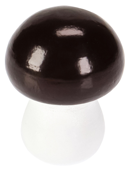 pict_65777dc9-7f3f-4798-a6a2-1e5ae9fa5873