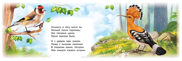 pict_4494702e-0f2a-49b4-9b53-42576976bcb4