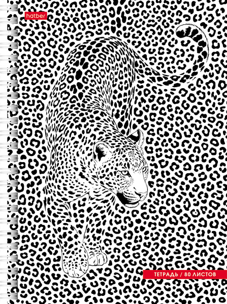096857_30000