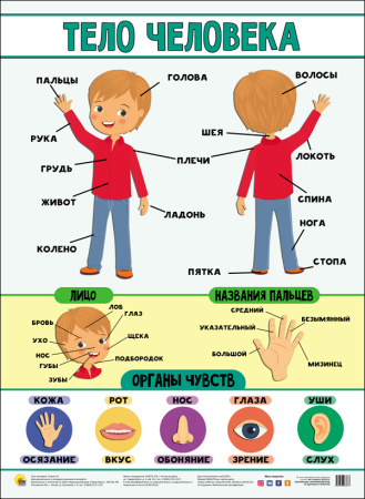pict_f5020f2e-4d54-4960-b4a6-4ea796e852c2
