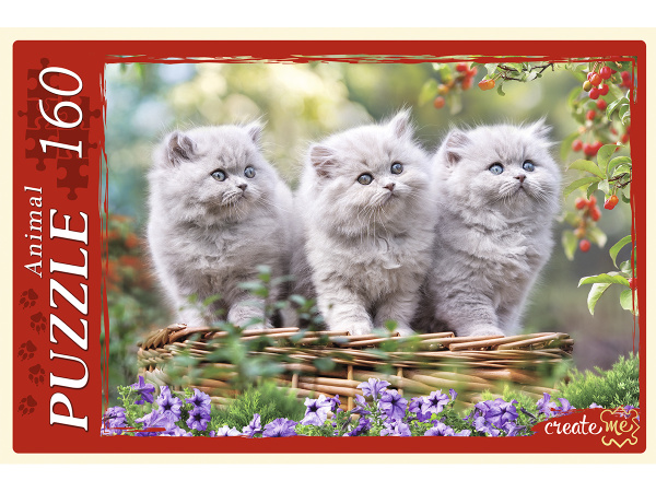 pict_443aed5c-f549-4ad3-a0cf-64a57a06f1c8