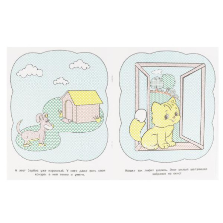 pict_75095c98-255f-4740-8323-bf1e3bc4eefc