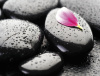 pict_ac3a3260-b62e-4a37-9ca6-1228bfe33a57