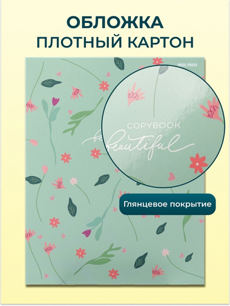 efe50519cb2d2c80eb7d48cd444d96e1